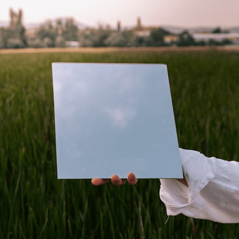 A hand holding a mirrored panel above a green rice field