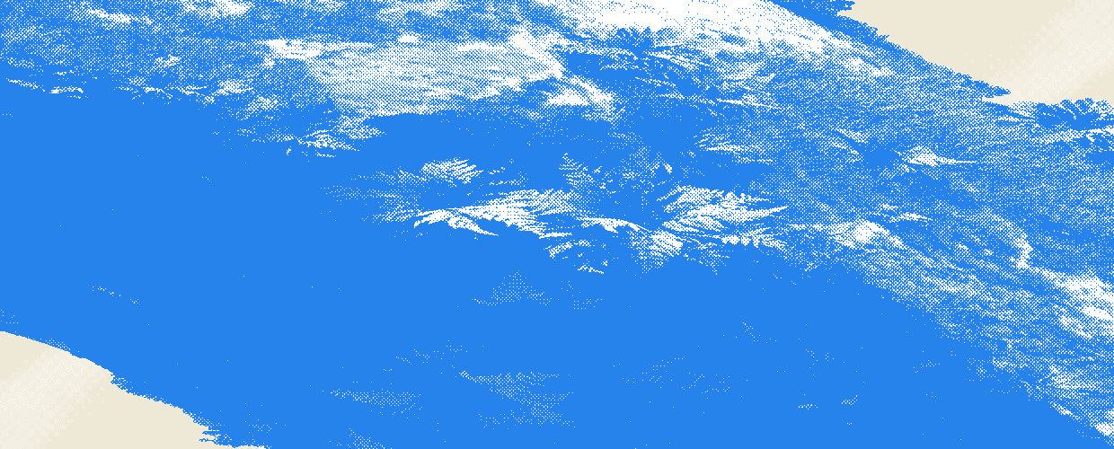 Ferns and moss on a shaded rock face, rendered as a blue halftone over cream