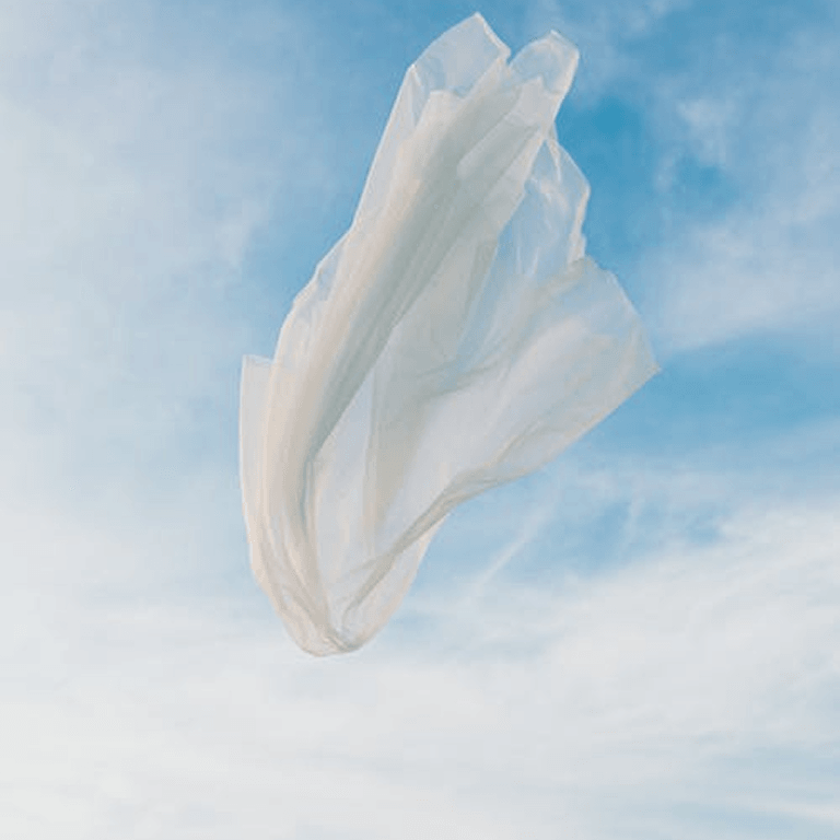Sheer fabric lifting against an open sky